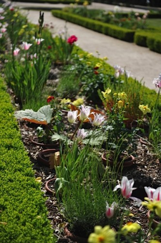 versailles,petit trianon,potager du roy